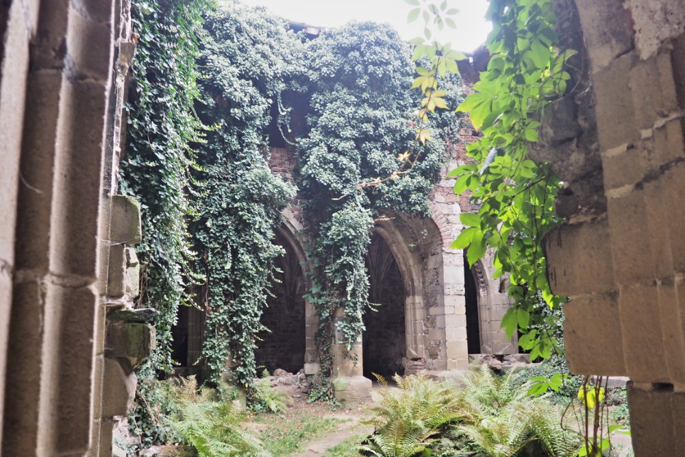 Dolní Kounice - klášter Rosa coeli 4